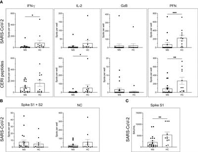Immune monitoring of SARS-CoV-2-specific T cell and B cell responses in patients with multiple sclerosis treated with ocrelizumab